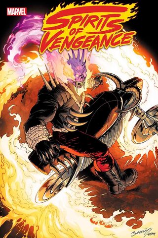 Spirits Of Vengeance Vol 2 #2 (Cover B)