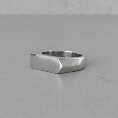 Дизайнерская печатка из нержавеющей стали