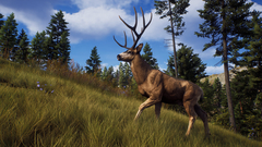Way of the Hunter Elite Edition (для ПК, цифровой код доступа)