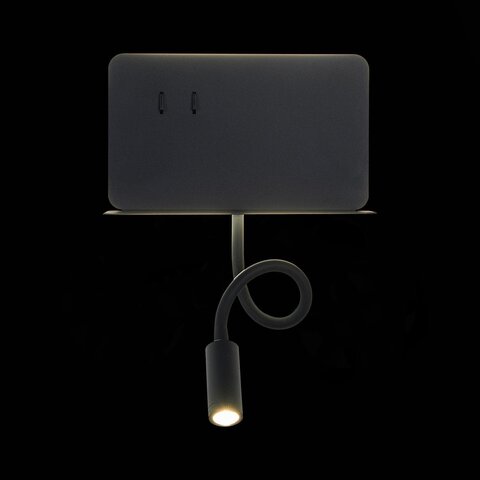 Светильник настенный ST Luce Pinaggio SL1576.401.02