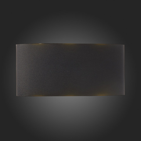 Светильник уличный ST Luce Bisello SL089.401.06