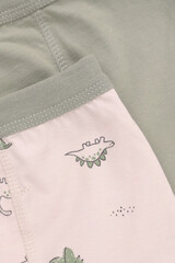 трусы/ уп  для мальчика  К 1980-2уп/оливковый хаки,бежевый,динозаврики