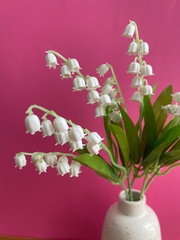 Ландыши искусственные из мягкого пластика, реалистичные, 35 см, набор 5 веток