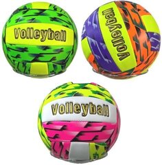 Мяч волейбольный Новый