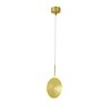 Светильник подвесной ST Luce Imente SL1221.203.01