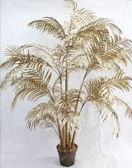 Пальма (ховея), 2,2 м