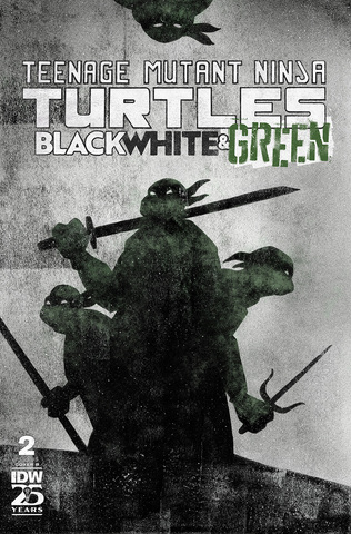 Teenage Mutant Ninja Turtles Black White & Green #2 (Cover B) (ПРЕДЗАКАЗ!)