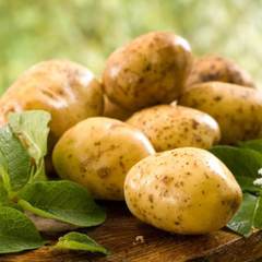 Картофель свежий (Азербайджан) / 1 кг