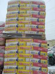 Гипсовая штукатурка Старатели 30 кг.