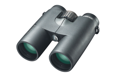 Бинокль Bushnell ELITE 8x42