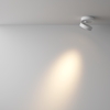Потолочный светильник Maytoni Magic C022CL-12W3K-W-1