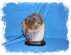 Салфетница из Ракушки Жемчужница 16 см.