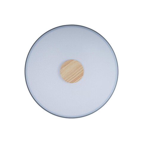 Потолочный светодиодный светильник Loft It Axel 10003/24 Grey