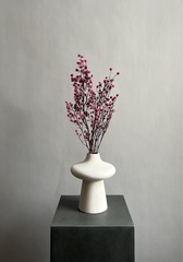 Стилингия розовая