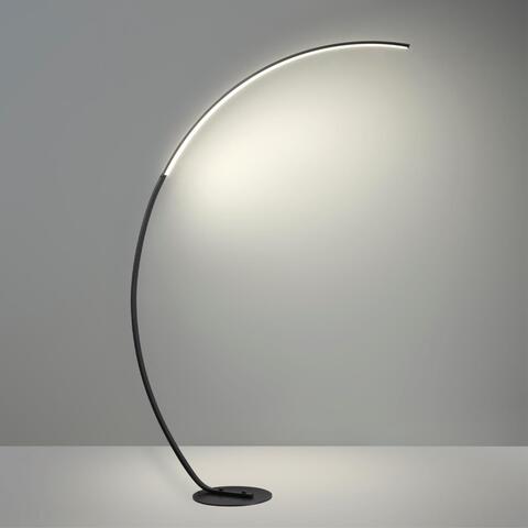 Торшер светодиодный Lumion WES 5676/21FL