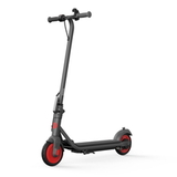 Электросамокат Ninebot by Segway KickScooter C20 (405452)