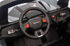 BUGGY XMX603B (Полноприводный, двухместный)