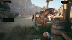 Saloon Simulator (Ранний доступ) (для ПК, цифровой код доступа)