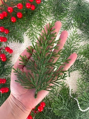 Набор травяных лапок туи, искусственные, 15*11 см, набор 30 шт.