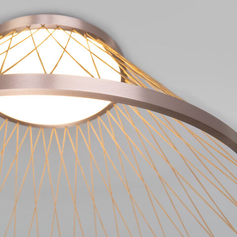 Потолочный светодиодный светильник Eurosvet Cesta 40019/1