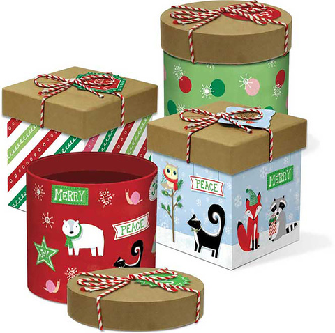 НАБОР КОРОБОК WOODLAND