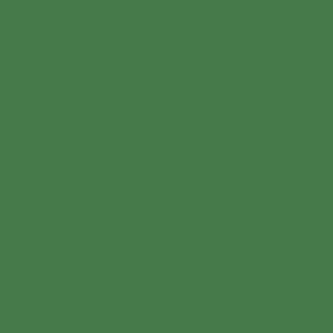 Пастель масляная мягкая профессиональная MUNGYO Gallery Болотный зелёный №232 (3шт)