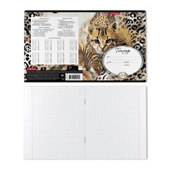 Тетрадь 24л., клетка, Erich Krause, скрепка, офсет, мелованный картон "Wild Cat"