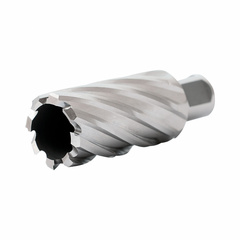 HSS-Co Корончатое сверло по металлу 35x55, weldon 19