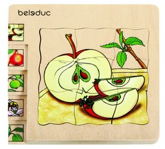 Развивающий Пазл "Яблоко" ((Цвет: нет, Разм.:145 x 145 x 18 mm))