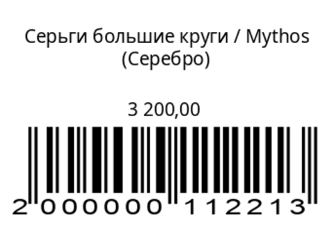 Серьги большие круги (серебро)