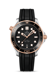 Omega 21022422001002