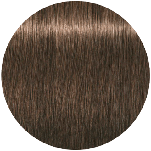 Schwarzkopf Igora Royal New 6-0 (Темный русый натуральный) - Краска для волос