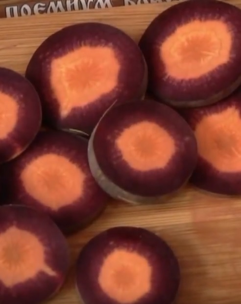 Сорт моркови шоколадный заяц семена. Морковь шоколадный заяц f1 (премиум). Семена моркови шоколадный заяц. Семена морковь шоколадная. Морковь королева фиолетовая f1.