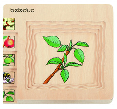 Развивающий Пазл "Яблоко" ((Цвет: нет, Разм.:145 x 145 x 18 mm))