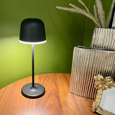 Аккумуляторная настольная лампа Eglo MANNERA 900457