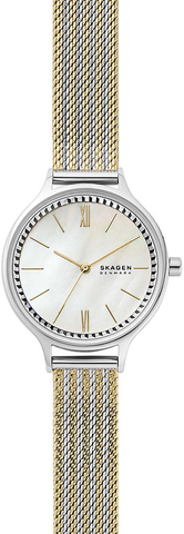 Наручные часы Skagen SKW2908 фото