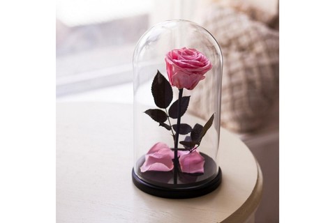 Роза в колбе розовая (Premium)