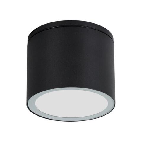 Накладной светильник Arte Lamp PIAUTOS A1913PF-1BK