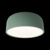 Потолочный светильник Loft It Axel 10201/350 Green