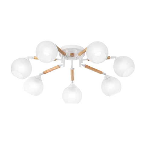 Потолочная люстра Citilux TIKA CL133170