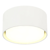 Светильник потолочный ST Luce ST164.502.01