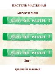 Пастель масляная мягкая профессиональная MUNGYO Gallery Травяной зеленый №228 (3шт)