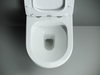 Ceramica Nova CN1905_121001CH Комплект Подвесной унитаз MONO Rimless + Система инсталляции Balance кнопка Circle, хром глянцевый