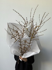 Охапка цветущие ветки форзиции 3 шт