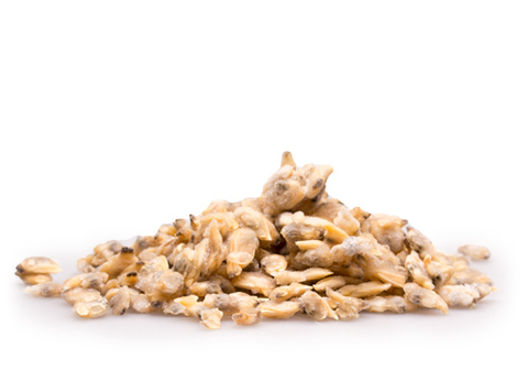 Мясо клем замороженное, 500г