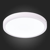 Светильник настенно-потолочный ST Luce ST112.532.24