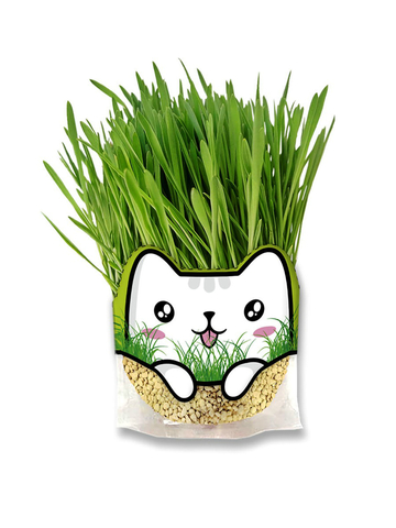 Трава для кошек, 500 мл Цеосан
