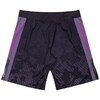 Шорты Fight Expert Tactical Black / Purple