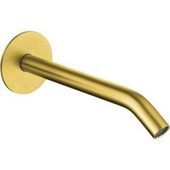 Allen Brau 5.31A18-GB 5.31A18-GB PRIORITY 3.0S Излив из стены латунь, встраиваемый, 166мм, браш. золото (345422) фото