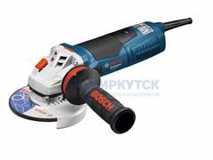 Угловая шлифмашина Bosch GWS 19-125 CI (060179N002)